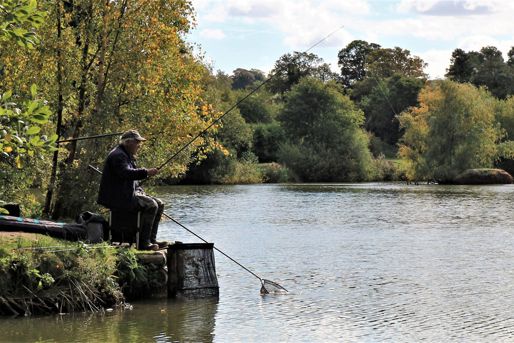 Pole Fishing Essentials - Top Tips For Pole Fishing - Edge Tackle