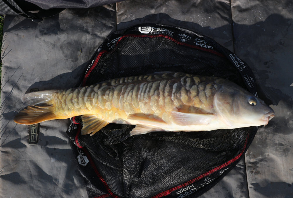 Carp Fishing with Dave Coster