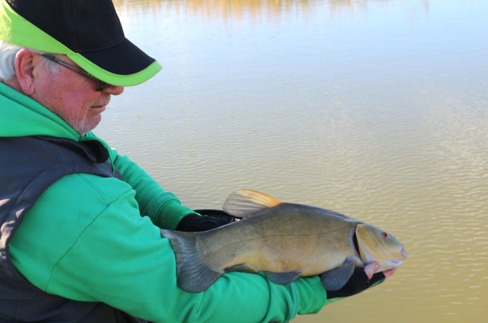 Carp Fishing with Dave Coster